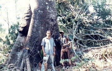 PEDRO LEOPOLDO REBOLEDO ALONSO - FAZENDA BAGUALA