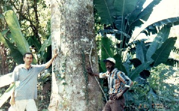 Pedro L. Reboledo Alonso - Fazenda Baguala